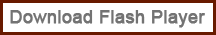 Get Adobe Flash player